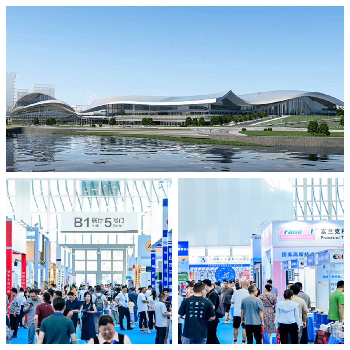 LIONSE бере участь у виставці Yantai 2026